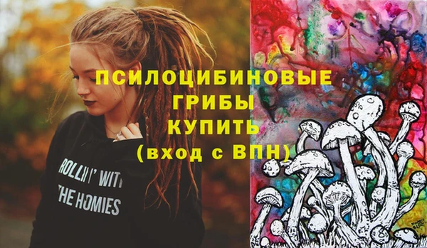 прущая мука Костерёво
