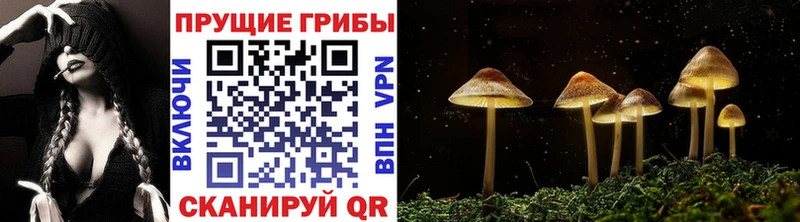 Галлюциногенные грибы Magic Shrooms  Купить  Венёв 